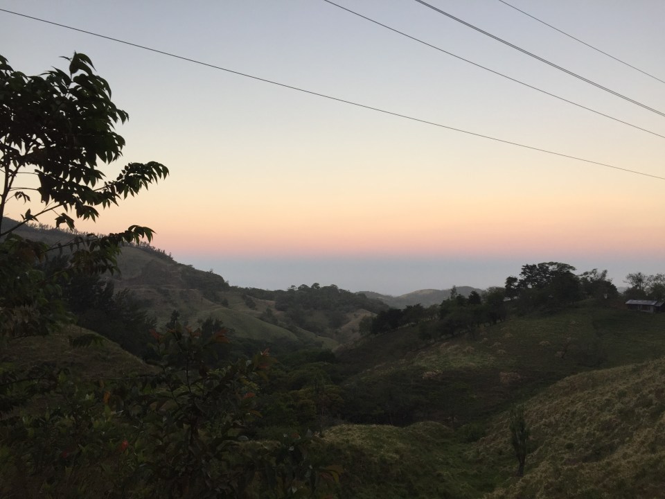 Sunset over the plantation.