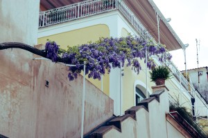 flowermediterraneanstairs