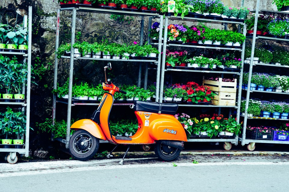 moped_italy_garden_scenery